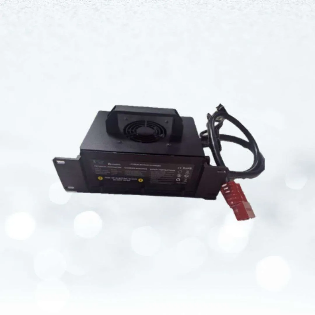Li-ion Batteries - Battery Chargers (50Ah)